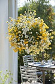Hanging basket with white and yellow Nemesia Sunsatia 'Little Banana' 'Little Coco'