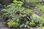 Create a hillside bed in a vegetable garden