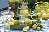 Tray and basket of freshly picked lemons (Citrus limon)