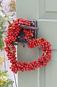 Heart of berries of Sorbus aucuparia on door handle