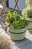 Green wooden buckets with vegetables and herbs