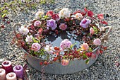 Wreath made of roses around zinc tray with water