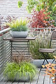 Easy care autumn balcony with grasses