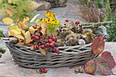 Floristic decorations with finds from the autumn forest
