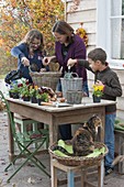 Mother and children plant baskets with viola and tulip bulbs