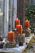 Orange candles on stem pieces with moss, cones and sloes