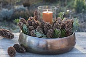 Copper bowl filled with Picea cones and Abies twigs