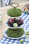 Ceramic etagere with cress and sprouts as edible table decoration