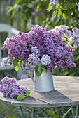 Luscious bouquet of different varieties syringa in zinc can