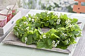 Wild strawberries (Fragaria) leaves and flowers wreath
