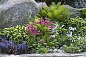 Front yard with perennials and natural stones