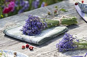 Lavender flowers (Lavandula) bundled to dry