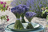 Standing bouquets of lavender (Lavandula) on a shallow bowl