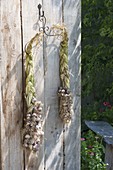 Frisch geernteten Knoblauch (Allium tuberosum)