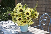 Bouquet of Helianthus annuus 'Garden Statement' (Sunflower)