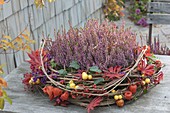 Autumn wreath of clematis tendrils, decorated with Acer leaves