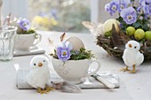 Easter table decoration, cup with viola cornuta blossoms