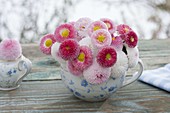 Posy from Bellis (daisies) in grandma's old flower cup
