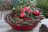Red bowl with tendrils of wine (Vitis vinifera) wreath