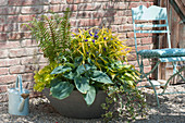 Concrete bowl with leaf decoration plants