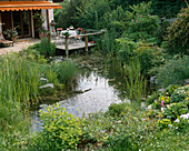 Pond with wooden pier