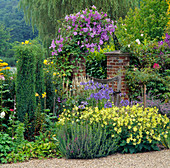 Beet mit Nicotiana 'Lime Green' (Tabak) 'Arched Gateway' und Clematis