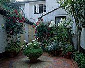 Innenhof mit Hängekörben mit Fuchsia (Fuchsien), Lilium (Lilien) u. weißen Petunia (Petunien) in Kübeln