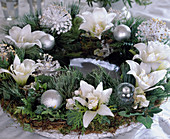 Christmas Wreath Hippeastrum Amaryllis, Pine twigs, Hedera, Thuja