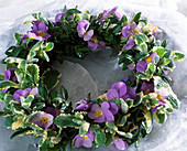 Wreath made of hornbeam flowers, Box, pineapple mint