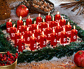 Adventsgesteck mit 24 Kerzen