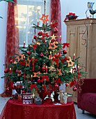 Nordmann fir decorated with balls, candles and stars