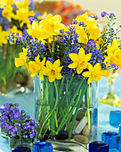 Narcissus 'Tete A Tete' (Daffodils)