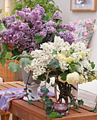 Syringa vulgaris (lilac bouquets)