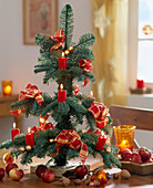 Self-bound table Christmas tree made from nobilis fir, red candles and ribbon
