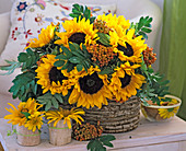 Basket with Helianthus annuus (sunflower)
