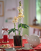 Scented decoration made easy