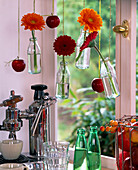 Small bottles as hanging vases, gerberas, malus (apple)