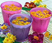 Narcissus 'Grand Soleil d'Or' narcissus flowers float in pink and purple glasses