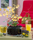 Orchideenblüten im Glas mit Ackerschachtelhalm als Steckhilfe