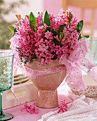 Hyacinthus orientalis (pink hyacinth) with pink hearts