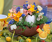 Terracotta-Ei mit Kresse, Gänseeier als Vasen mit Crocus