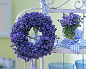 Myosotis compindii (forget-me-not) as a wreath and bouquet