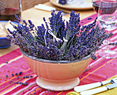 Lavandula / Lavendel, getrocknete Lavendelbündel zur Weiterverarbeitung