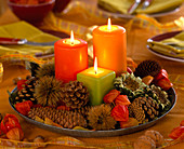 Candles, Picea (pine cone), Pinus (pine cone)