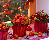 Malus ornamental apples, physalis lanterns, rose rosehips in basket pots by the window