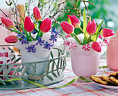 Vases with tulipa (tulip), betula (birch)