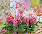Hyacinthus (pink hyacinth)