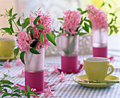 Hyacinthus (pink hyacinths)