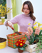 Colorful spring basket
