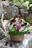 Strauss aus Allium (Zierlauch), Hydrangea (Hortensien), Achillea